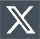 x icon footer