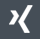 xing icon footer