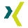 xing icon