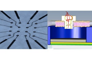 Nanopores on a Chip 