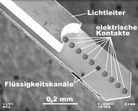 A Light Switch inside the Brain