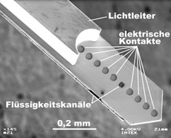 A Light Switch inside the Brain