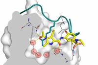 New Agent against Cancer Cells