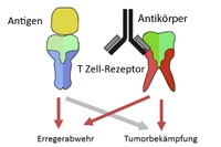 Tumor Killer in Top Form