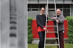 Building Scaffolds in the Cell’s Power Stations