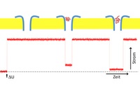 Bacterial Protein Serves as Sensor 