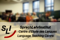 Multilingualism in Society, Politics and Education