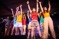 Musicals on the amateur stage 