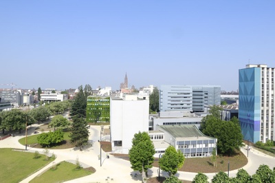 A Tailwind for the European Campus