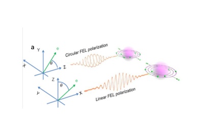 Electrons Under Observation 