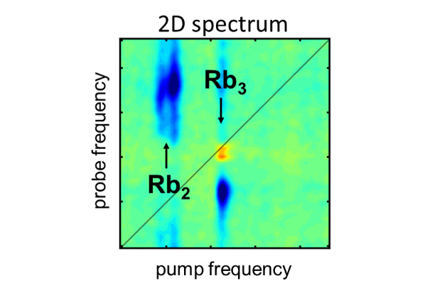 New Insight into Molecular Processes