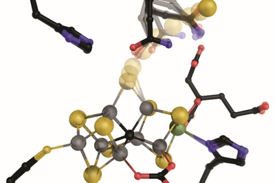 On the Track of Nitrogenase