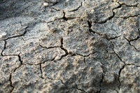 Early recognition of potential drought impacts