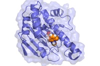 Simulations on biologically relevant time scales