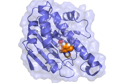 Simulations on biologically relevant time scales