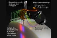 Better understanding communication between neurons in the brain