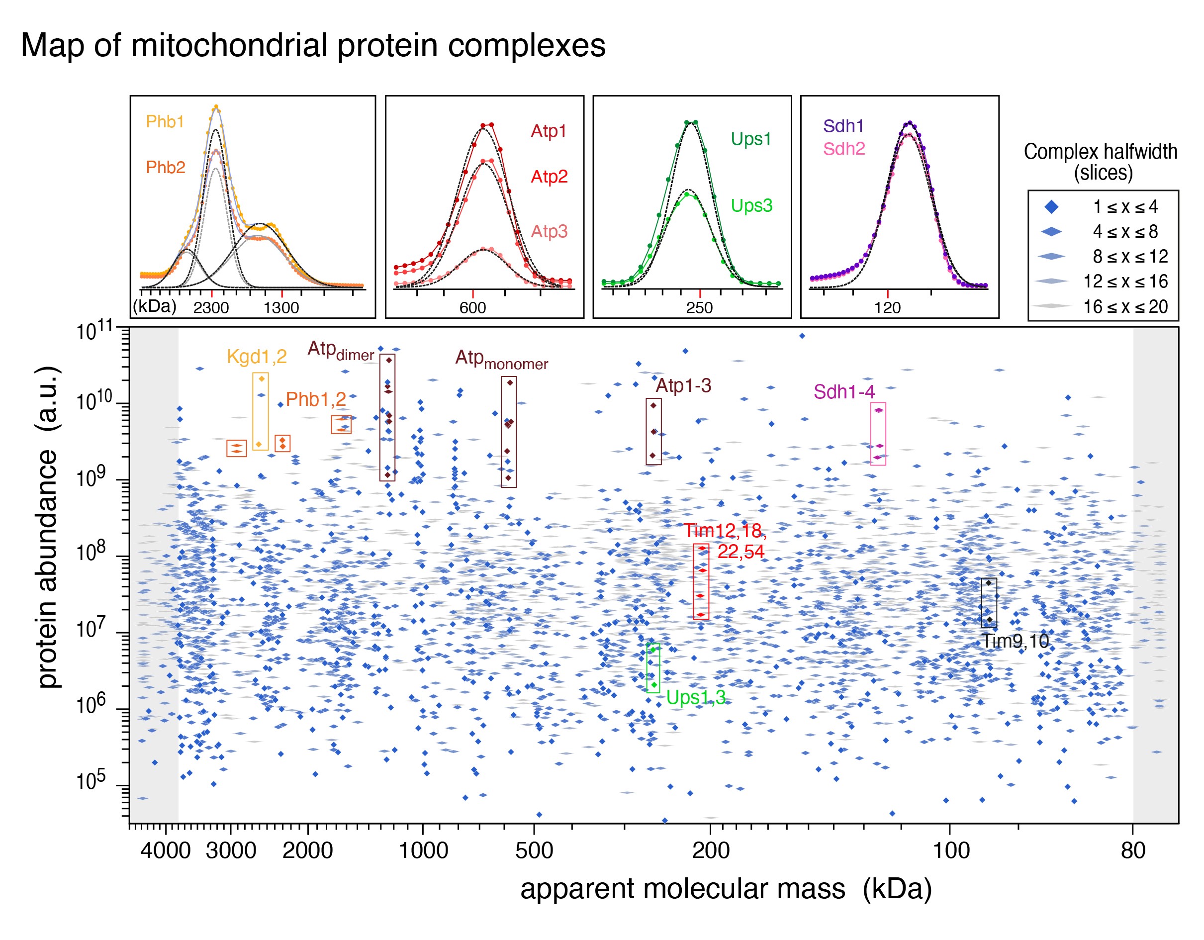 Evolutionary Tuning of a Cellular “Powerhouse”