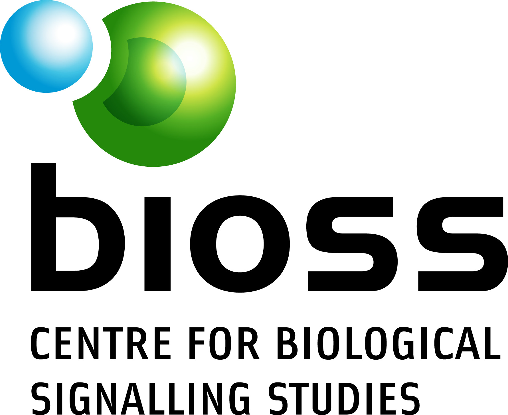 „Day of BIOSS“