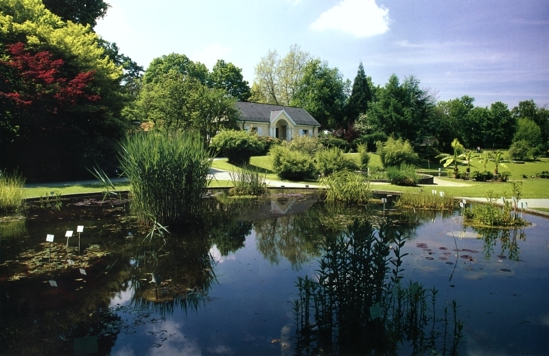 Biodiversität – Vielfalt des Lebens