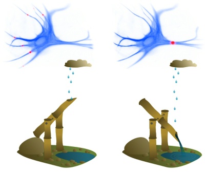 Neurons: Faster than thought and able to multiply