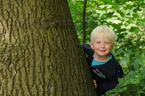 Förderung für Waldkindergärten