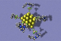 Goldene Nanoelektronik