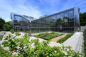 Samstagsführungen im Botanischen Garten