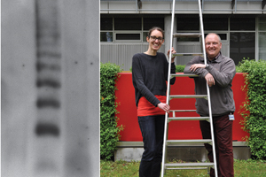 Gerüstbau in den Kraftwerken der Zelle