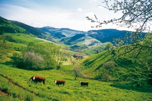 Wissensdialog Nordschwarzwald