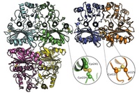 Der Ursprung der Photosynthese