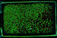 Biomoleküle kopieren, Innovationspotenzial ausschöpfen