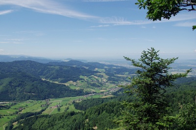 Der Schwarzwald im Klimawandel