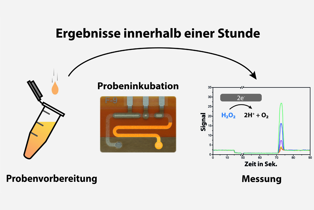 Medikamente individuell dosieren