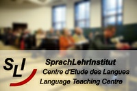 Mehrsprachigkeit in Gesellschaft, Politik und Bildung