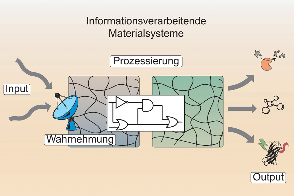 Biologische Signalprozesse in intelligenten Materialien 