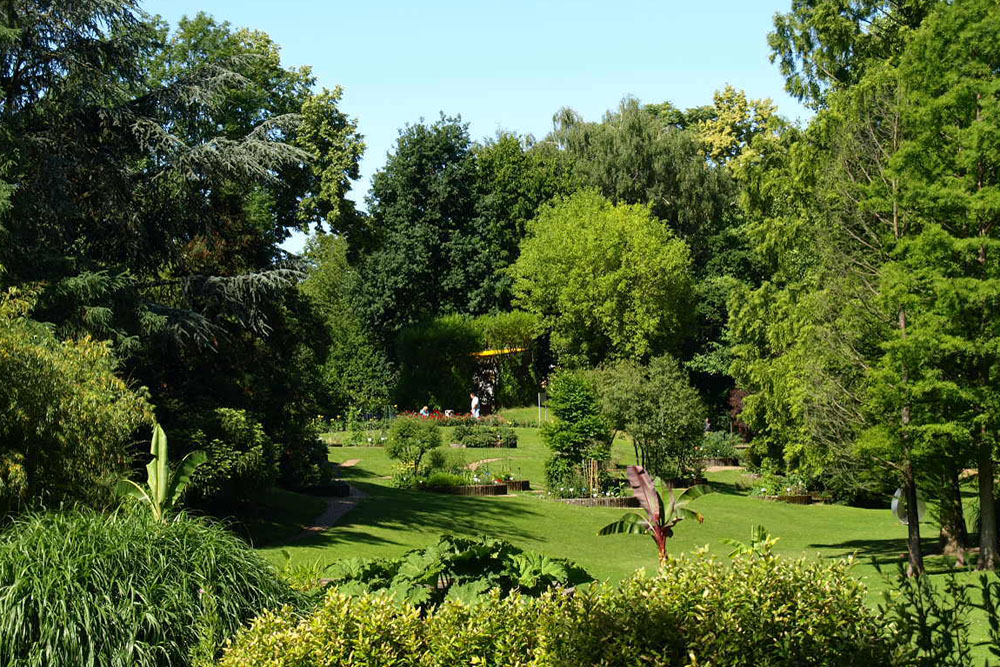 Von Nadelwäldern, Wildbienen und Wasserpflanzen