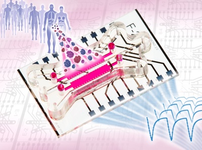 Neues Organ-on-Chip-System ermöglicht präzise Stoffwechsel-Überwachung von 3D-Tumorgewebe außerhalb des Körpers