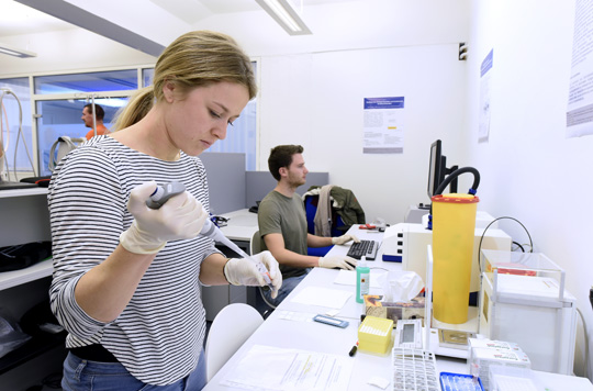 Sportwissenschaftler überprüfen anhand von Messungen, wie sich Trainingsprogramm und Ernährungsplan auf den Gesundheitszustand der Probanden auswirken. Foto: Thomas Kunz