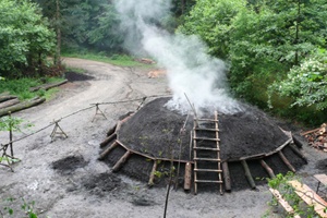 Spurensuche im Schwarzwald