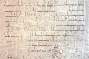1200 Jahre Villingen-Schwenningen 
